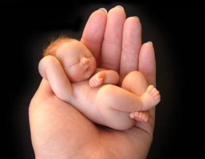 Aborto